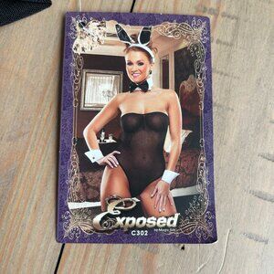 Sexy Sheer Bunny Costume for women S/M NWT